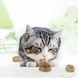 Котяча іграшка для кішок м'ятна кулька котячий льодяник