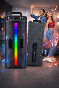 Портативная беспроводная Bluetooth колонка-караоке TTD-2806 RGB-подсветка, микрофон, пульт ДУ